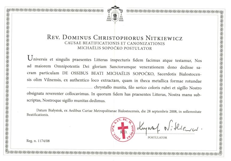 zdjęcie 11