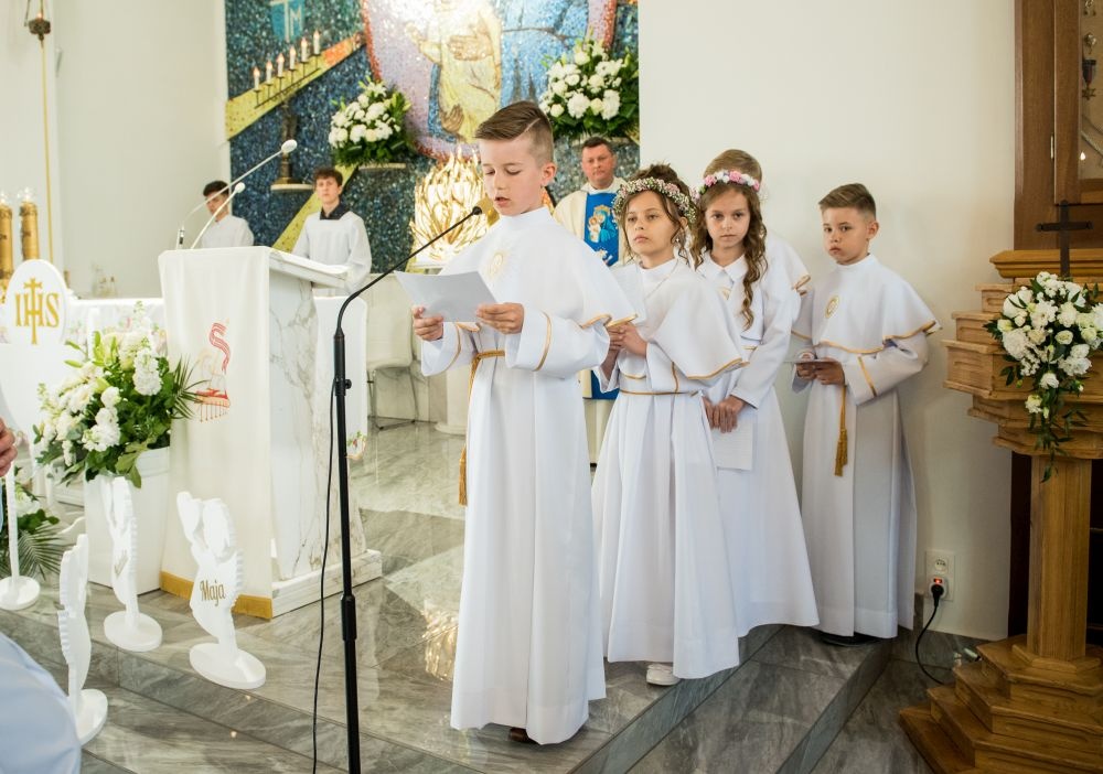 zdjęcie 24