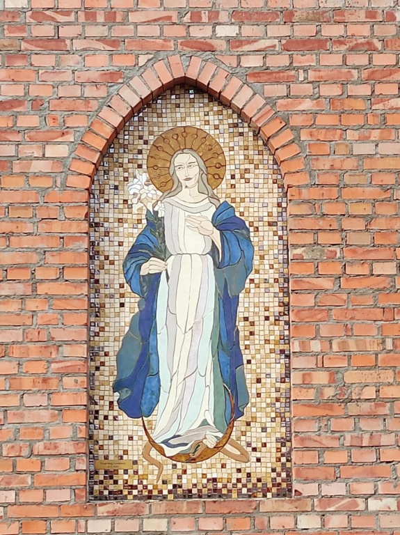 zdjęcie 7
