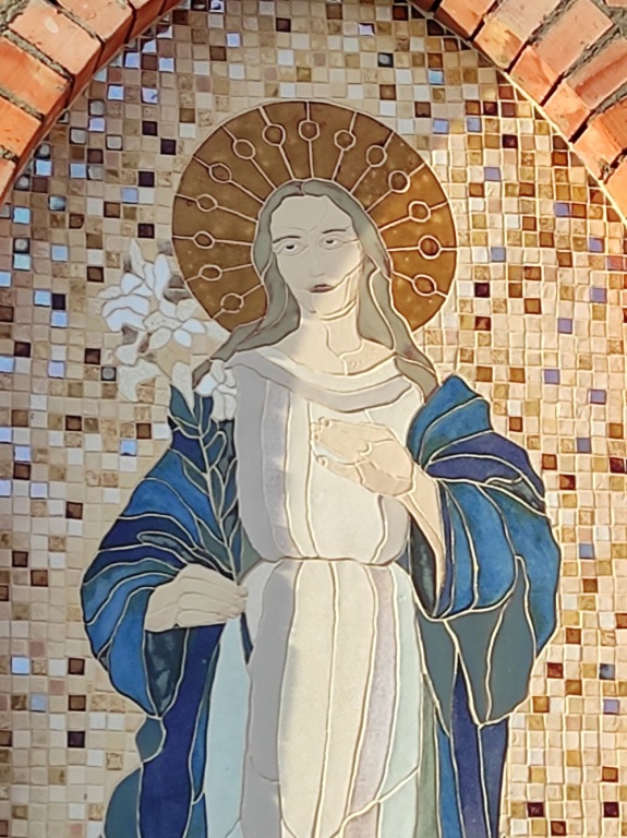 zdjęcie 14