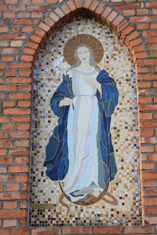 zdjęcie 15