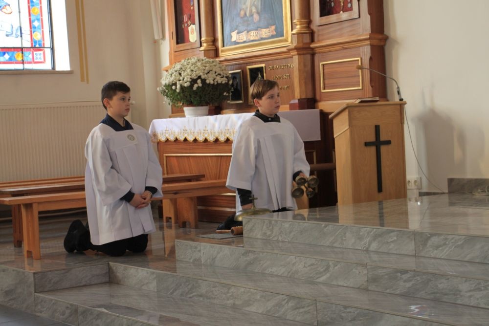 zdjęcie 17
